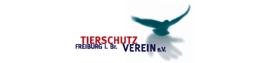 LinkTHFreiburg1
